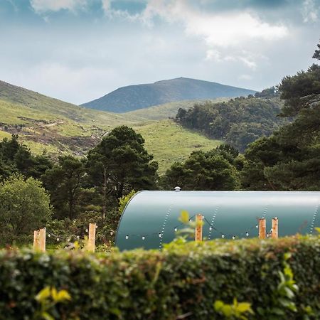 Further Space At Leitrim Lodge Luxury Glamping Pods Mourne Mountains 뉴캐슬 외부 사진